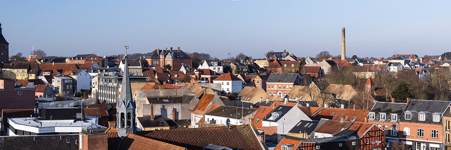 Billede over Svendborg by