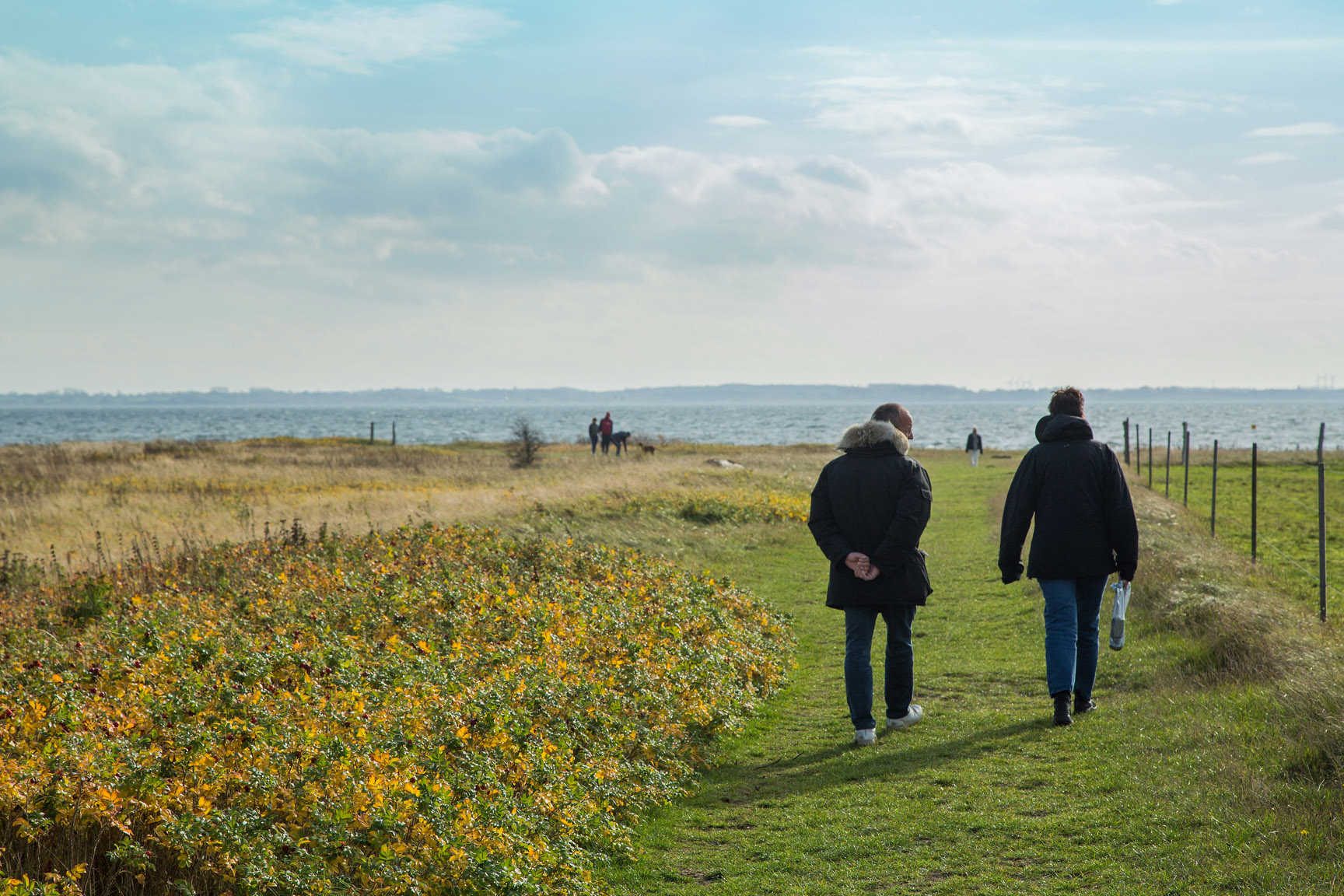 Der findes mange gode vandreruter i Svendborg Kommune.