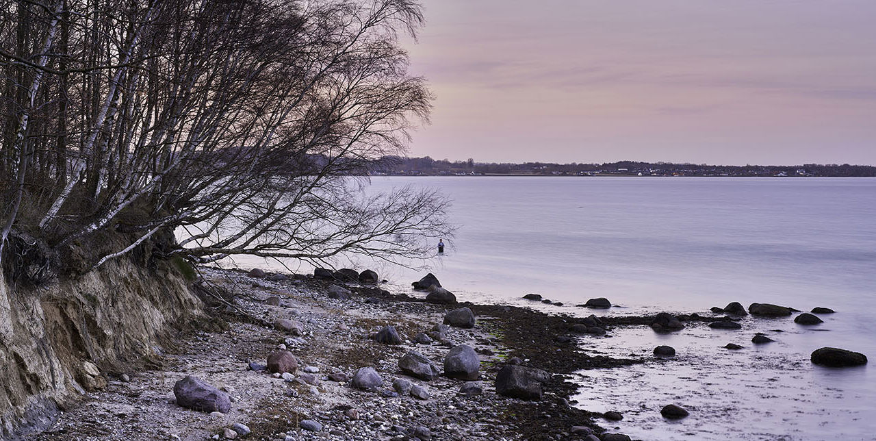 Thurø Østerskov Landskab