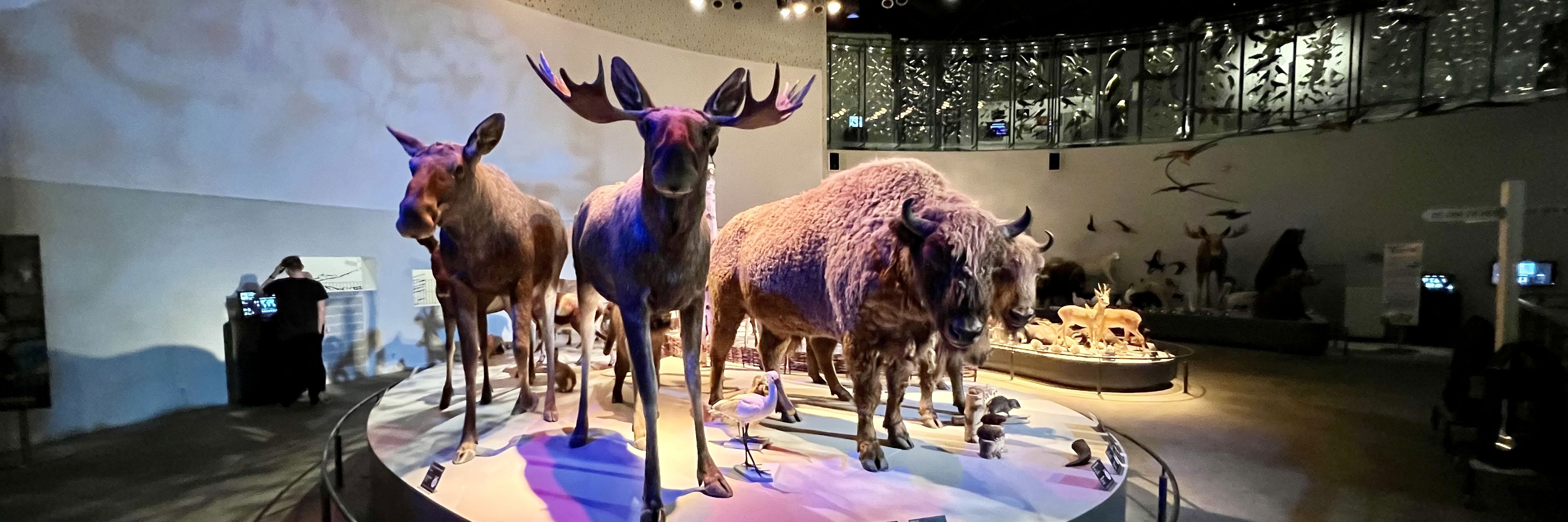 Naturama4 (1)
