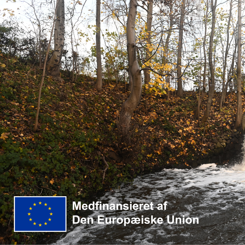 Medfinansieret af EU-logo på billede af vandløb.