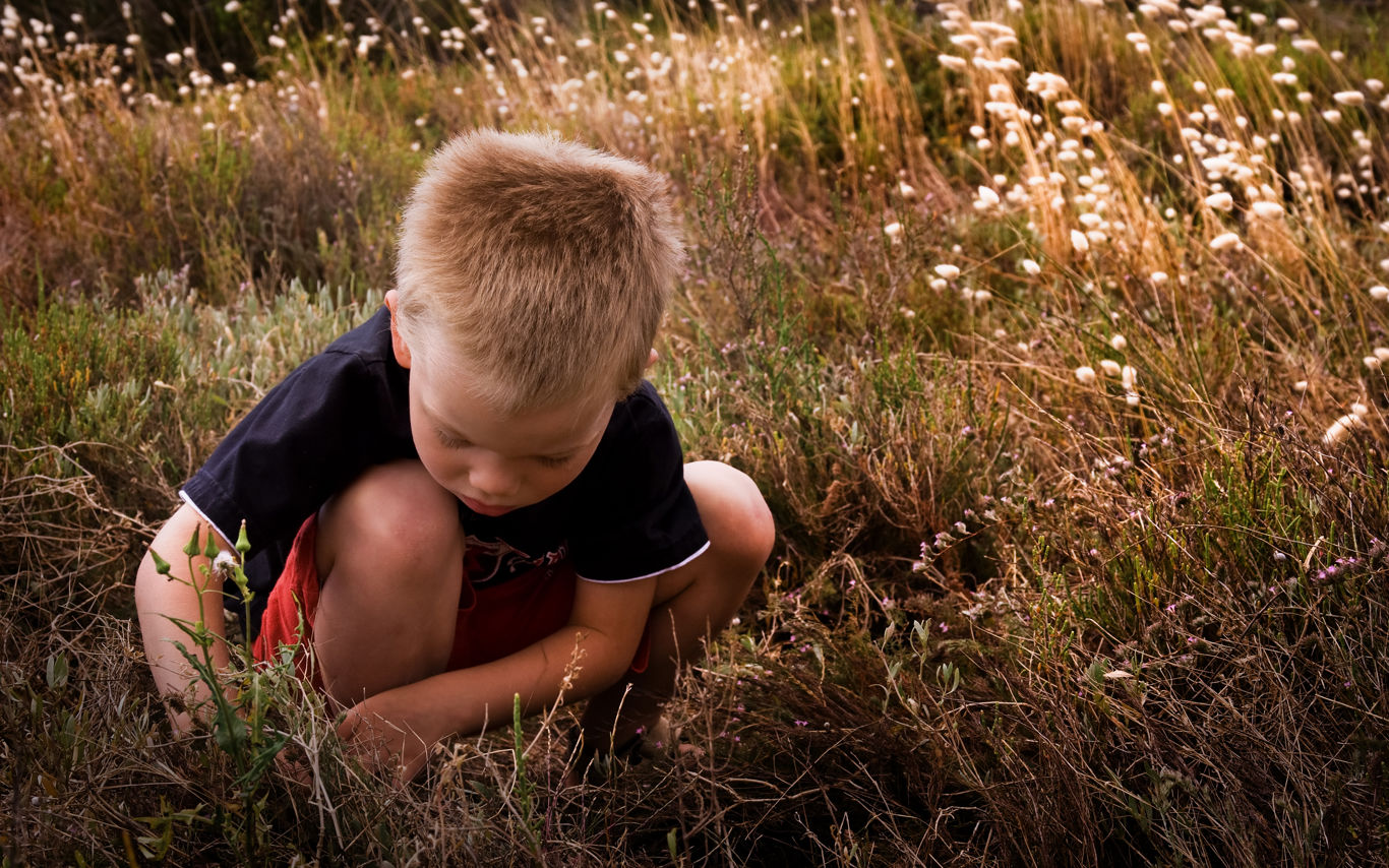 Dreng leger i højt efterårsgræs