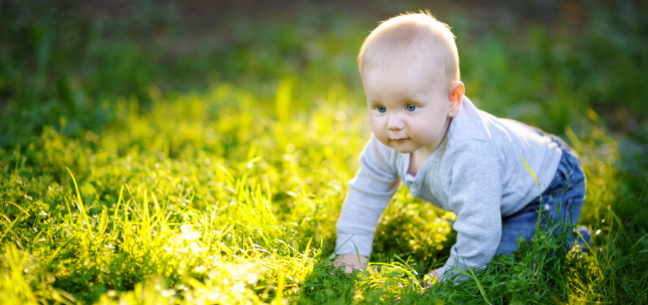 Lille barn kravler på græs